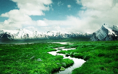 Creek background